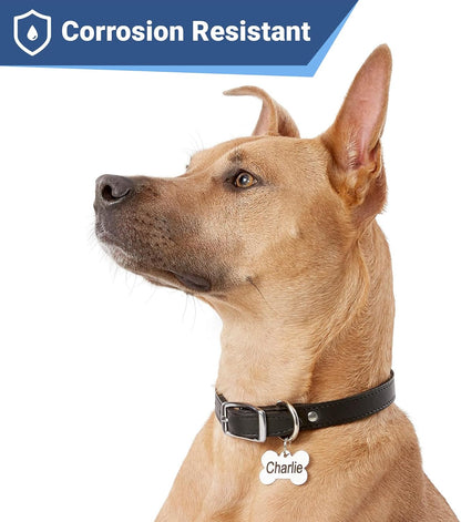 Stainless Steel Pet ID Tags, Personalized Dog Tags and Cat Tags